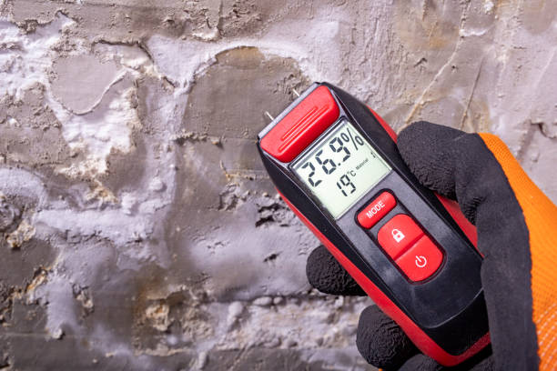 Best Mold Damage Repair  in Mbrian Park, CA