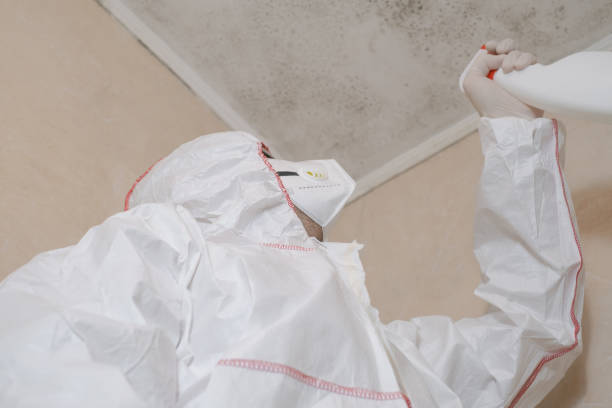 Best Commercial Mold Removal  in Mbrian Park, CA