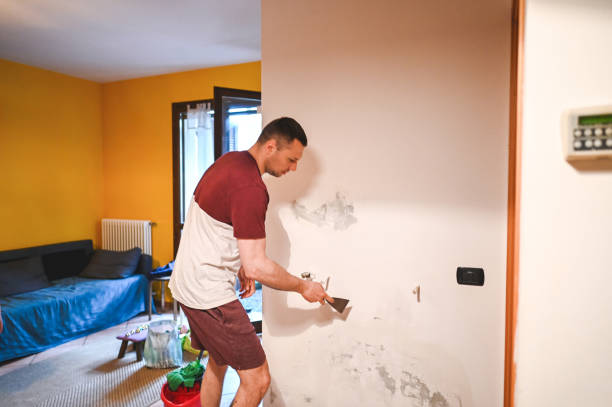 Best Black Mold Removal  in Mbrian Park, CA